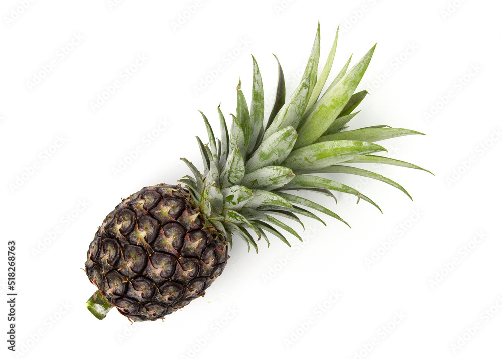 Fresh green pineapple isolated on white background for cooking ads design Fresh green pineapple isolated on white background for cooking ads design