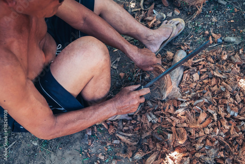 An elderly Asian man with a turban is using a knife to chop the dried coconut husks into small pieces in the garden.