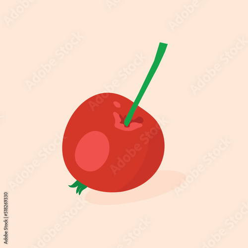 illustration of a pomegranate designed in a simple and red color