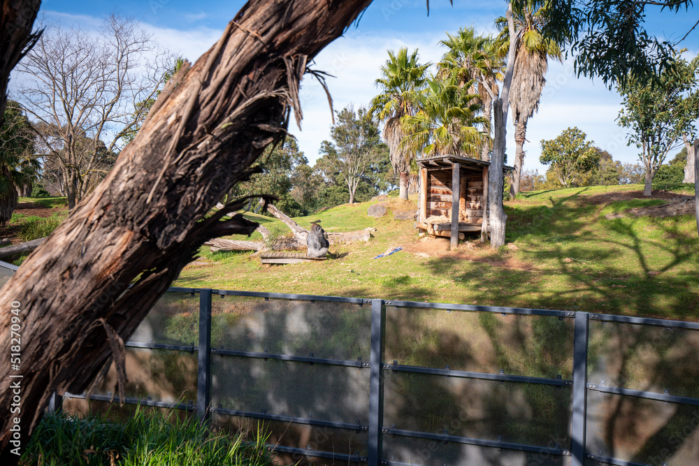 Werribee Open Range Zoo Safari Tour Werribee Open Range Zoo Safari Tour