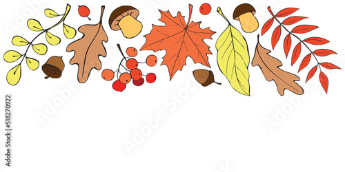 Vector autumn background with space and border of colorful leaves, mushrooms, acorns, berries on upper edge. For ending, frame, children's print. Theme is forest, happy fall, thanksgiving