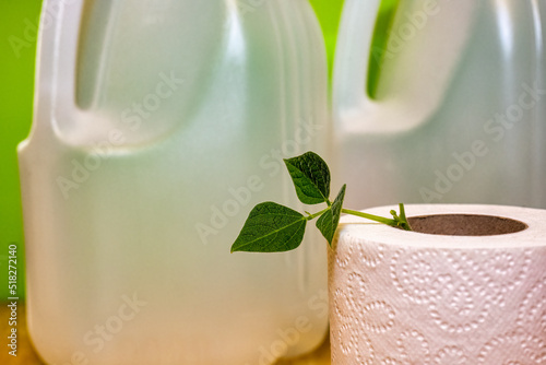 Bean plant gowing in a toilet paper roll with two platic gallong jugs in the background. photo