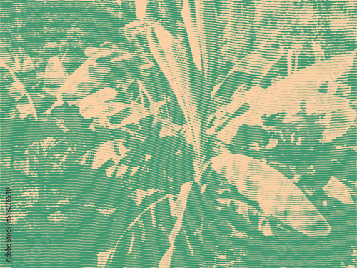 Tropical Abstract Background With Palm-Tree Leaf. Engraving style. vector illustration