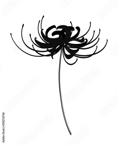 彼岸花　モノクロ