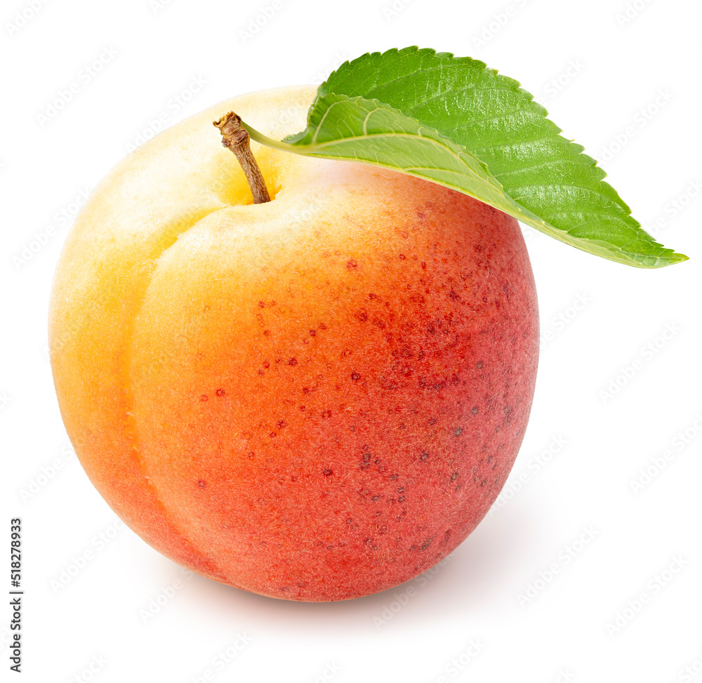 Yellow Apricot fruit with leaf isolated on white background, Apricots isolated on white With work path. Yellow Apricot fruit with leaf isolated on white background, Apricots isolated on white With work path.