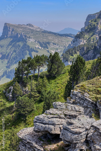 Blick vom Schweizer Niederhorn, Kanton Bern, Juli 2022 © Zarathustra