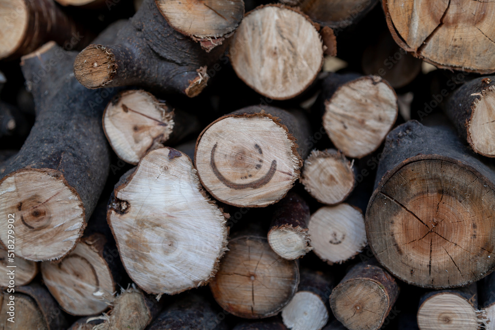 Round firewood is in heap. Smile stain on log Round firewood is in heap. Smile stain on log