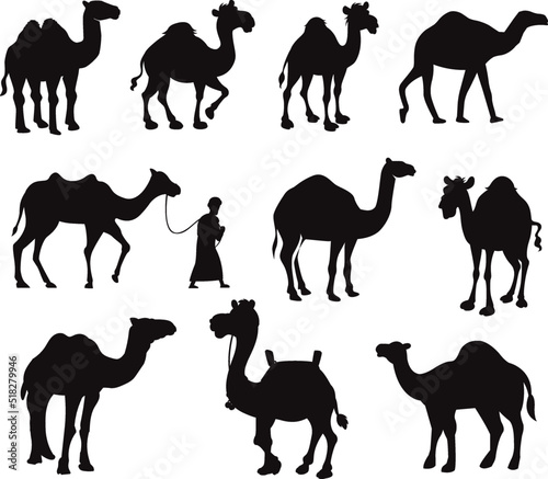 Collection of Arabic Camel isolated Vectors Silhouettes
