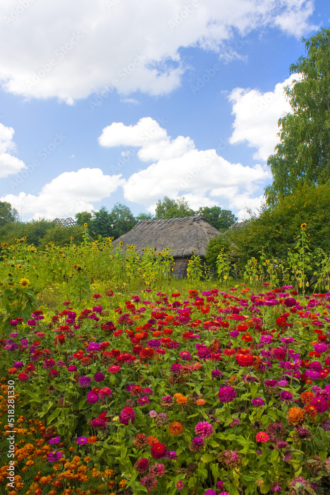 Flowers in the garden of the Ukrainian house Flowers in the garden of the Ukrainian house