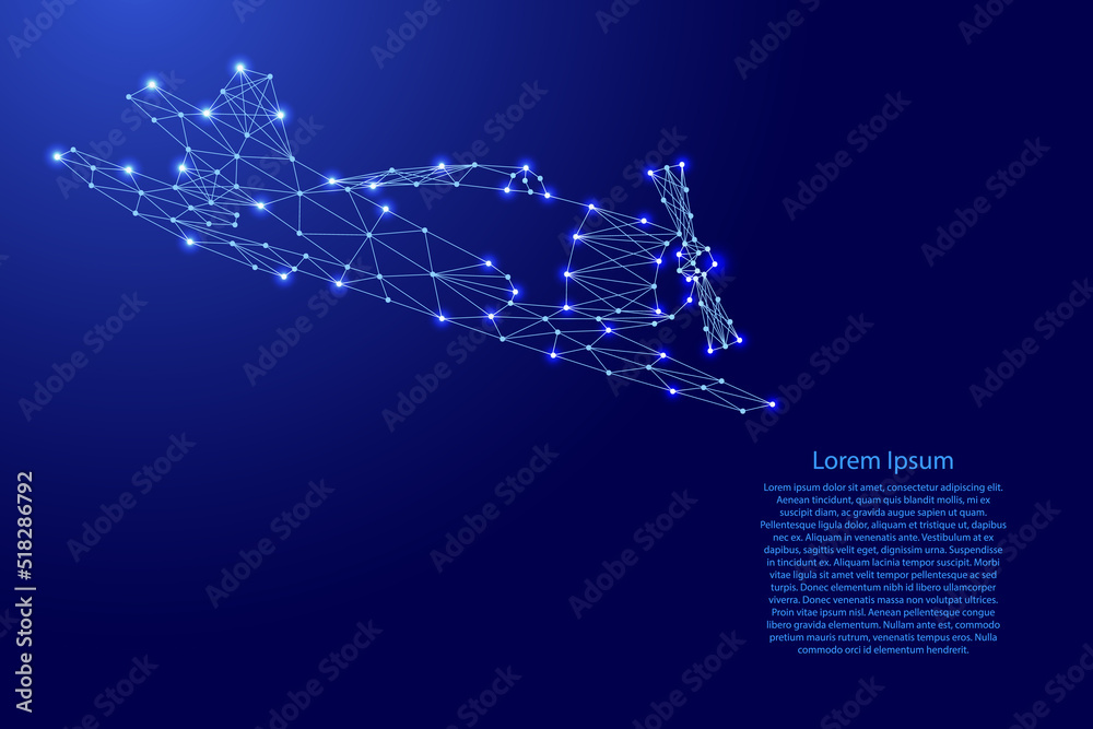 Obraz premium Aircraft screw sports flying, from futuristic polygonal blue lines and glowing stars for banner, poster, greeting card. Vector illustration.