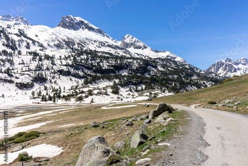 mountain with snow, pine trees and rock in the pyrenees