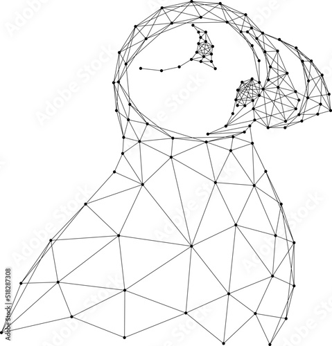 Atlantic bird puffin, fratercula arctica, from abstract futuristic polygonal black lines and dots. Vector illustration.