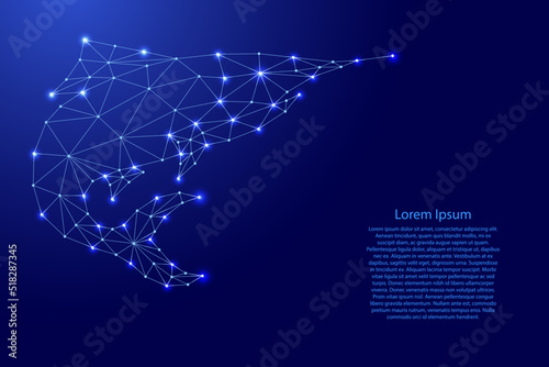 Fish, tuna, marlin jumping out, from futuristic polygonal blue lines and glowing stars for banner, poster, greeting card. Vector illustration.