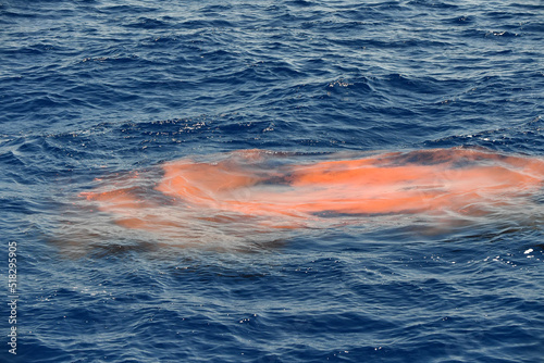 whale red krill poo excrement feces dung