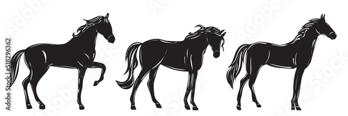 Tableau sur toile horse silhouette on white background isolated