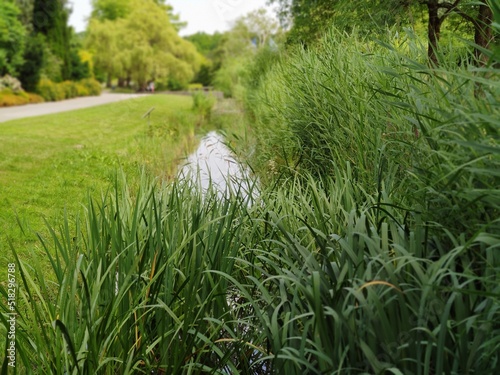 Botanischer Garten Hamburg (LOKI SCHMIDT-GARTEN)