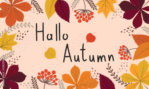 Flat hello autumn background. Vector drawing in the cartoon style.