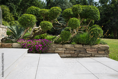 Modern garden design and landscaping:Hillside plot paved with natural sidewalk flagstones in contrast to a raised bed with natural stone walls, planted with succulents, flowers and beautiful boxtrees