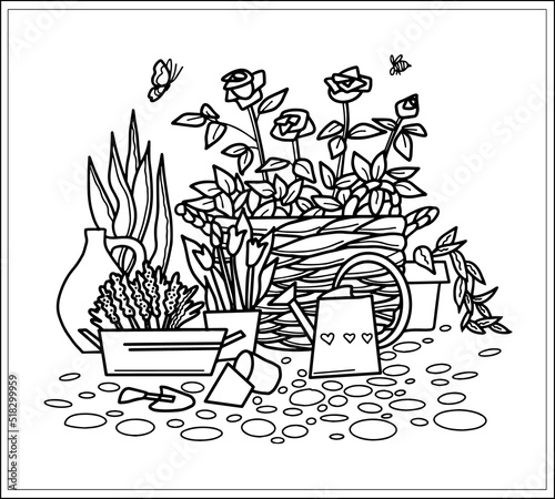 plants flowers in the garden, coloring bookVector art line background.