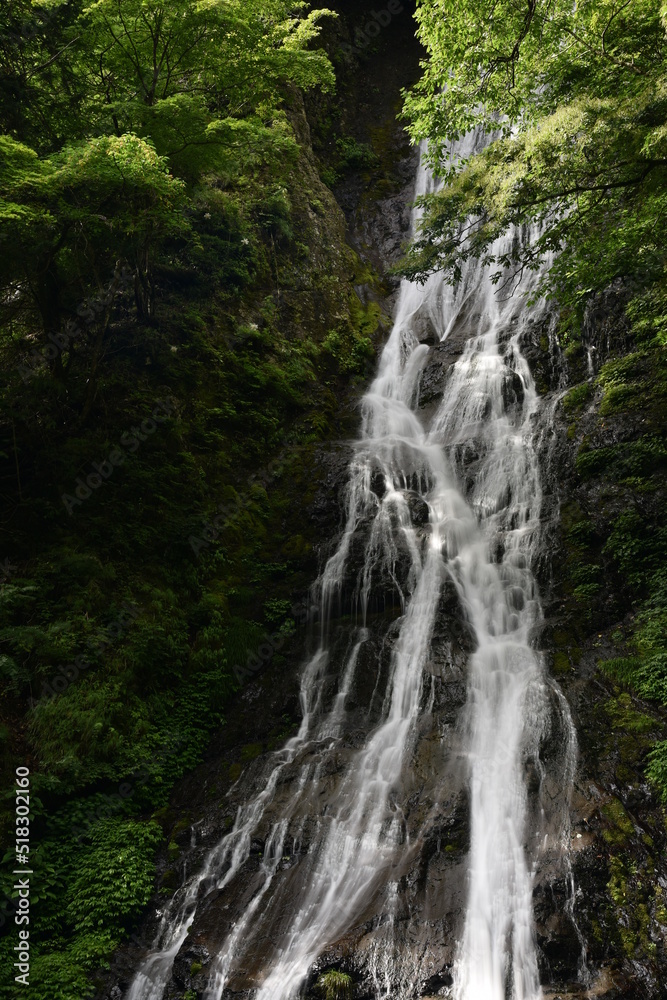 Fototapeta premium waterfall in the mountains