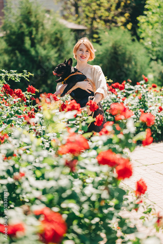 Black french Bulldog Puppy cuddling up with owner girl laying on lawn in park outdoors summer spring day kissing hugging petting. Happy woman with dog outside