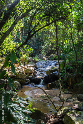 Stream of crystal clear water amidst the vegetation of Serra da Mantiqueira in the hydromineral resort of Amparo  located in the state of Sao Paulo  Brazil