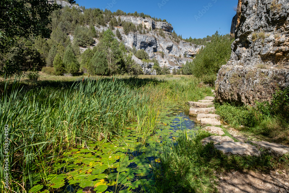 zona de reserva Castillo Billido, Parque Natural del Cañón del Río Lobos, Soria, Comunidad Autónoma de Castilla, Spain, Europe