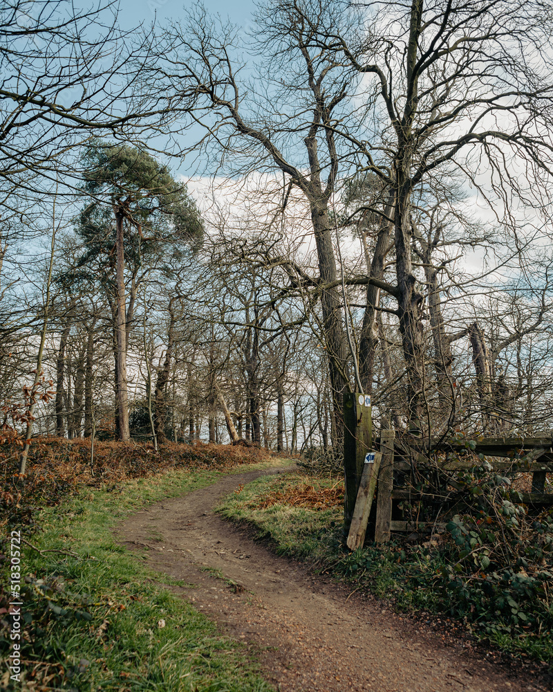 path in the park in mid winter