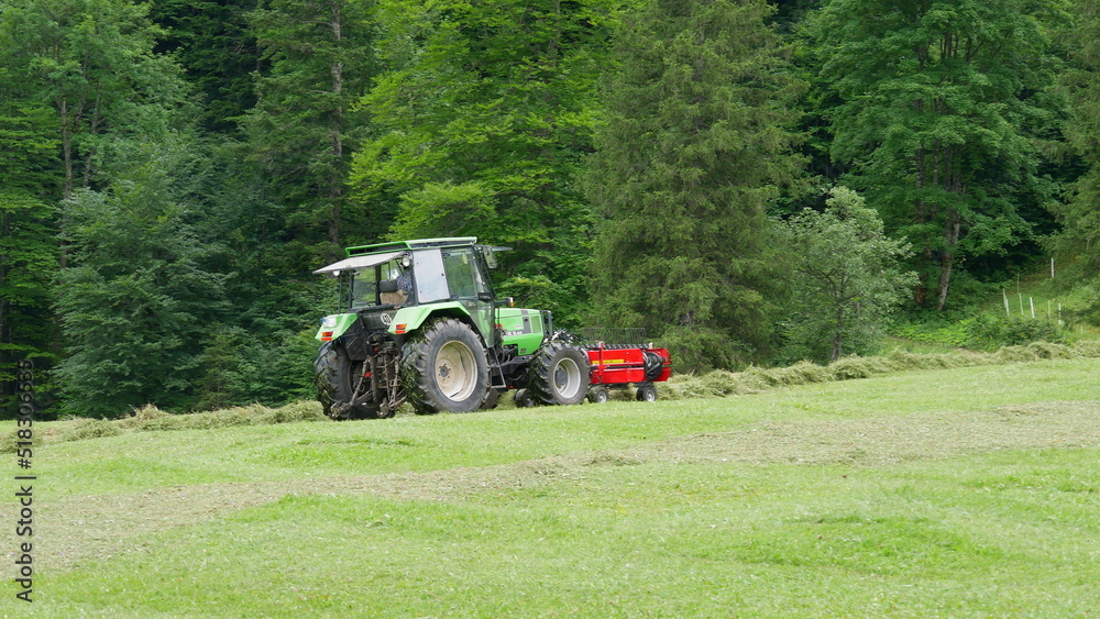 Obraz premium Bauer bei der Heuernte