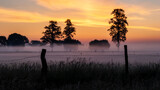 Piękne ujęcie wschodu słońca nad łąką, Podlasie, Polska
