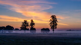 Piękne ujęcie wschodu słońca nad łąką, Podlasie, Polska