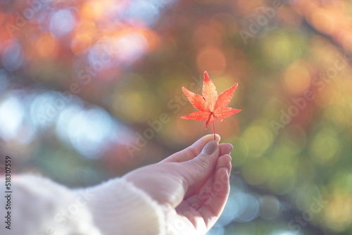 紅葉　玉ボケ