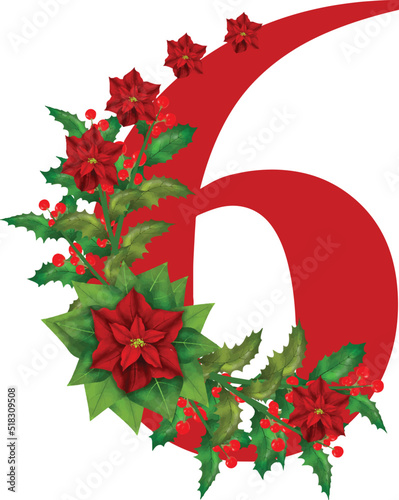 
Merry Christmas Number Vector Illustration is perfect for any project packaging, stationery, mugs, bags, 
Pillows, T Sh
Pillow, T Shirts, Mug, Berries, Poinsettia, Red, Christmas Flower Frames, Red B