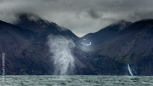 Humpback whale in the summer feeding grounds of the North Atlantic  Iceland