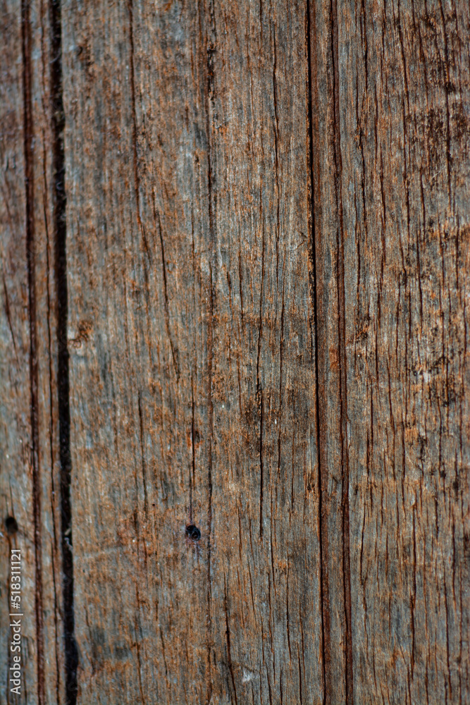 Naklejka premium madera rustica