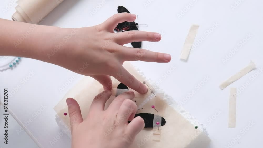 The child learns to fix the butterfly for drying. Passion for entomology. Children's hands close up. Fixing a butterfly for an entomological collection. Pachliopta