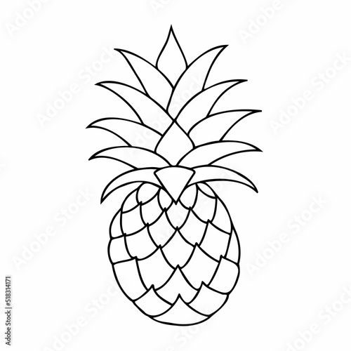 pineapple 