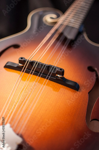 Close Up of Mandolin 