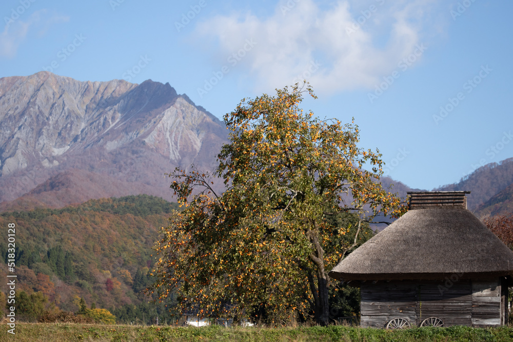 藁ふき納屋と鳥取大山