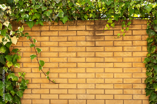 The yellow brick wall. © Juliana
