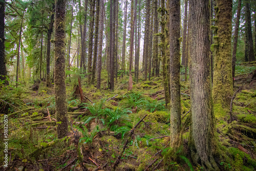 Pacific Northwest Scenic Landscapes © F42PIX