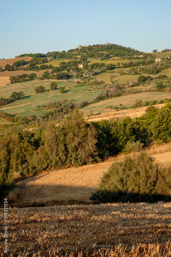 View of the fields near Tavullia in the Pesaro and Urbino province in the Marche region of Italy, at morning after the sunrise