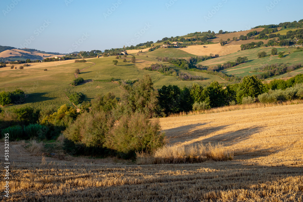 Fototapeta premium View of the fields near Tavullia in the Pesaro and Urbino province in the Marche region of Italy, at morning after the sunrise