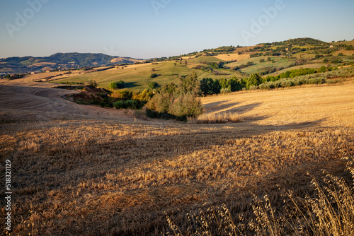 View of the fields near Tavullia in the Pesaro and Urbino province in the Marche region of Italy  at morning after the sunrise