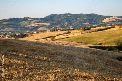 View of the fields near Tavullia in the Pesaro and Urbino province in the Marche region of Italy  at morning after the sunrise