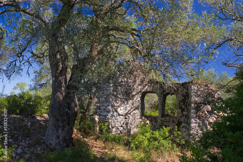 The picturesque ruins of the tiny early Christian church of Agios Stefanos, forgotten in the midst of olive groves near Ozias, Paxos, Ionian Islands, Greece