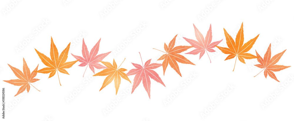 波型の紅葉のライン 波型の紅葉のライン