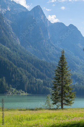 Paisaje con abeto en el Lago Antholzer en la región de Tirol del Sur, Italia