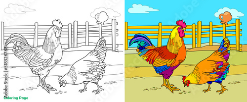 Coloring page, rooster and hen on a farm. Vector illustration for coloring.