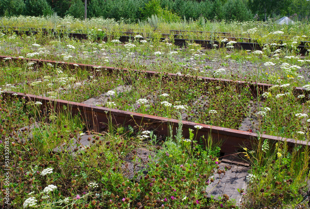 The railway tracks were overgrown with wild flowers on a summer day The railway tracks were overgrown with wild flowers on a summer day
